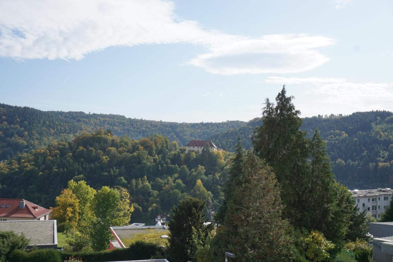 Ferienwohnung Schauinsland Neuenburg  Ngoại thất bức ảnh
